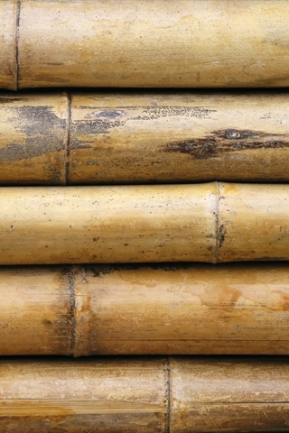 Material bambu